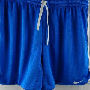 Nike Men's Dri-Fit Multicolor Small Shorts